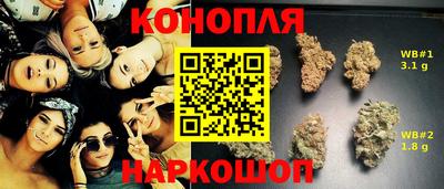 гашик Канаш
