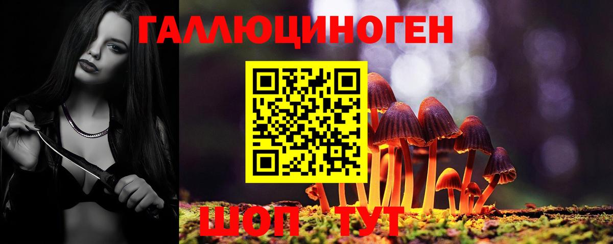 Псилоцибиновые грибы Psilocybe  Вход с VPN  Кстово 